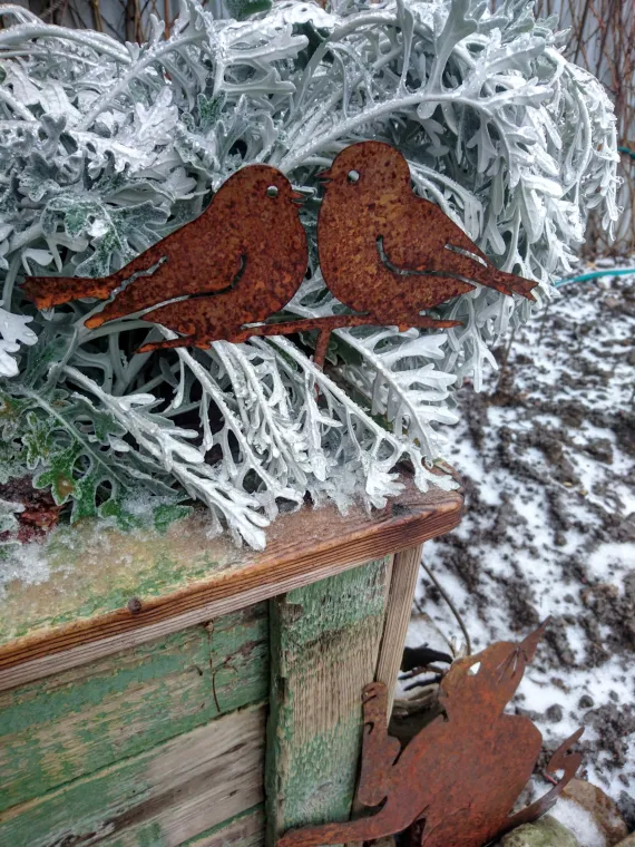 Садовая пика