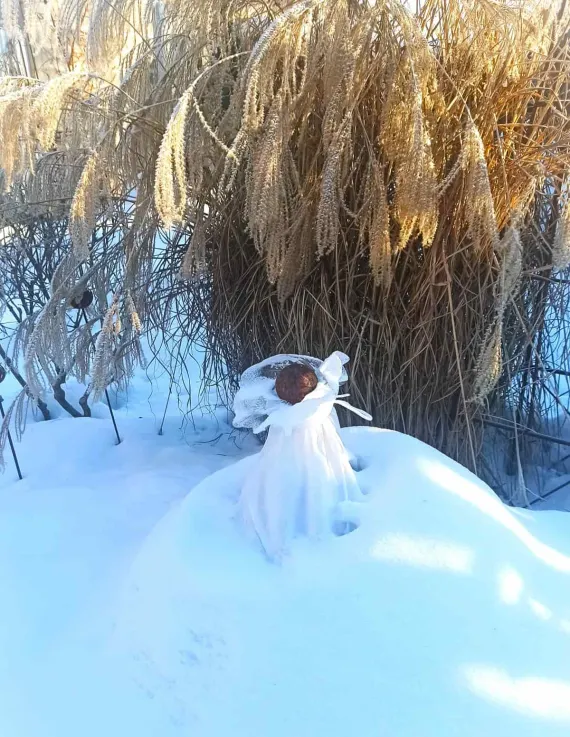 Клеть Луковка