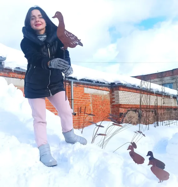 Семейка уток