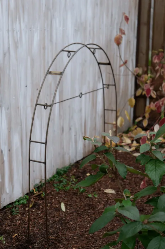 многофункциональная дуга