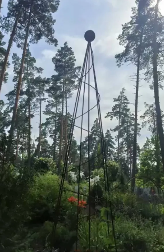 Опора для плетистых роз (1) "Вертикаль"